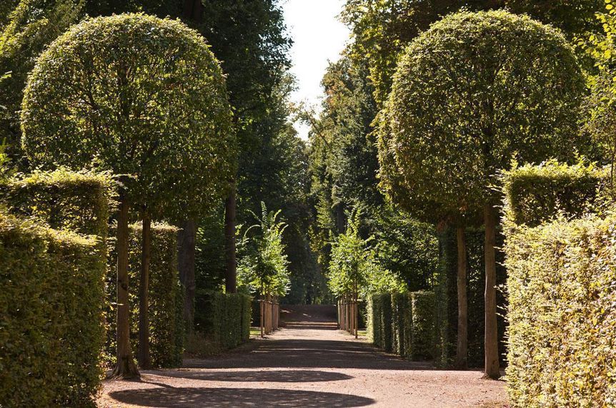 Schlossgarten Schwetzingen