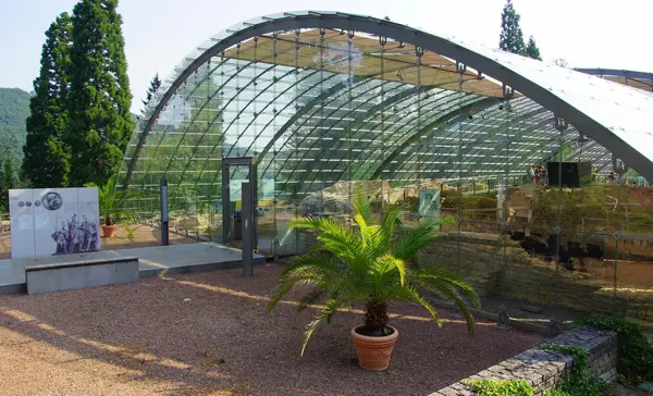 08 badenweilerRB aussen DSC03920 foto badanweiler thermen und tourismus gmbh karin schmeisser