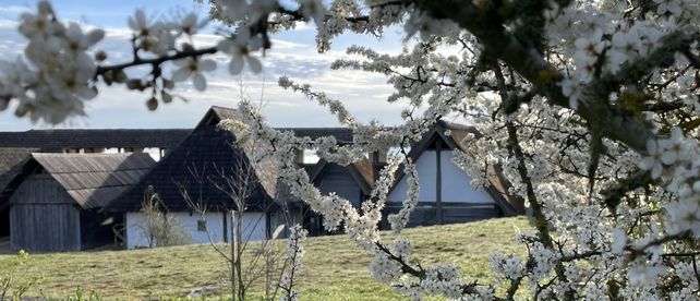 Heuneburg – Stadt Pyrene