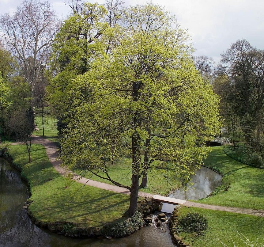 Schlossgarten Schwetzingen, Landschaft von Sckell