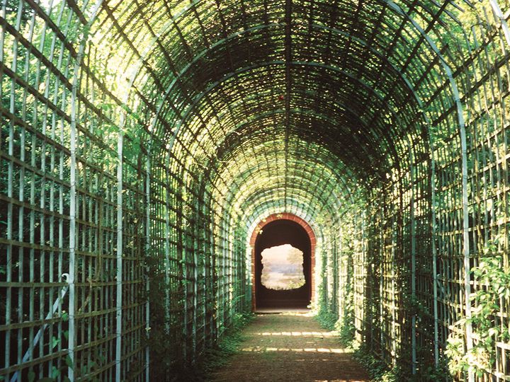 Foto: Staatliche Schlösser und Gärten Baden-Württemberg, Urheber unbekannt Schloss und Schlossgarten Schwetzingen, Garten, Ende der Welt, Flammender Stern